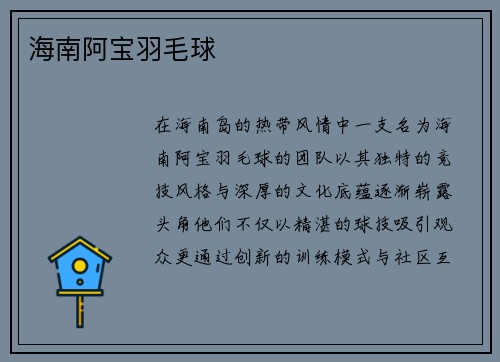 海南阿宝羽毛球